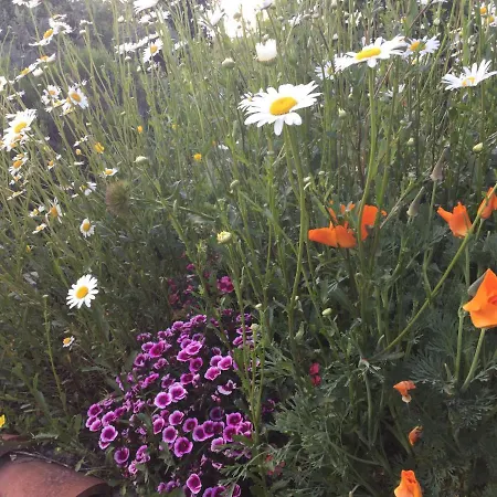 D'hotes De La Plano Bed & Breakfast 3*