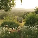 Bed & Breakfast D'hotes De La Plano 3*
