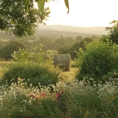 Bed & Breakfast D'hotes De La Plano 3*