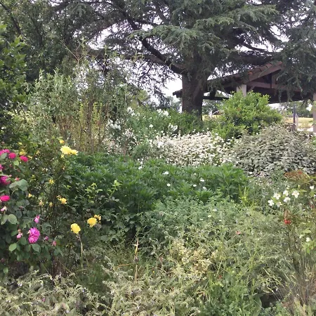 D'hotes De La Plano